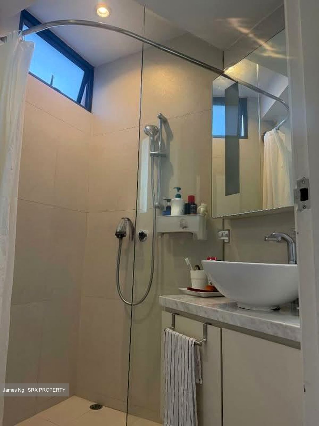 Regent Grove (D23), Condominium #553281561